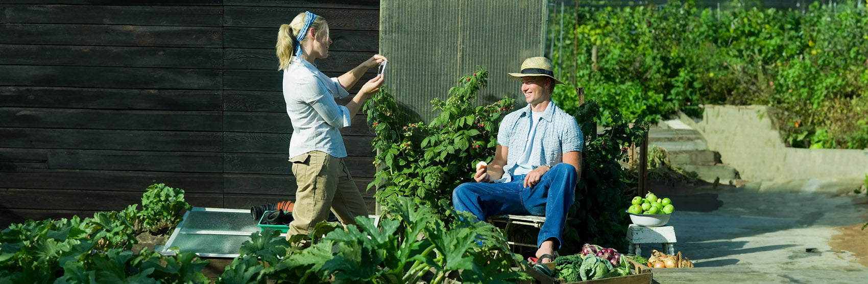 Basic garden tools for new gardener