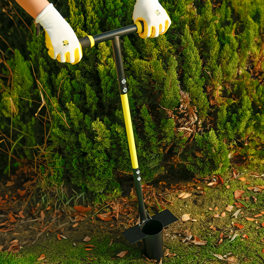 stand up bulb planter 
