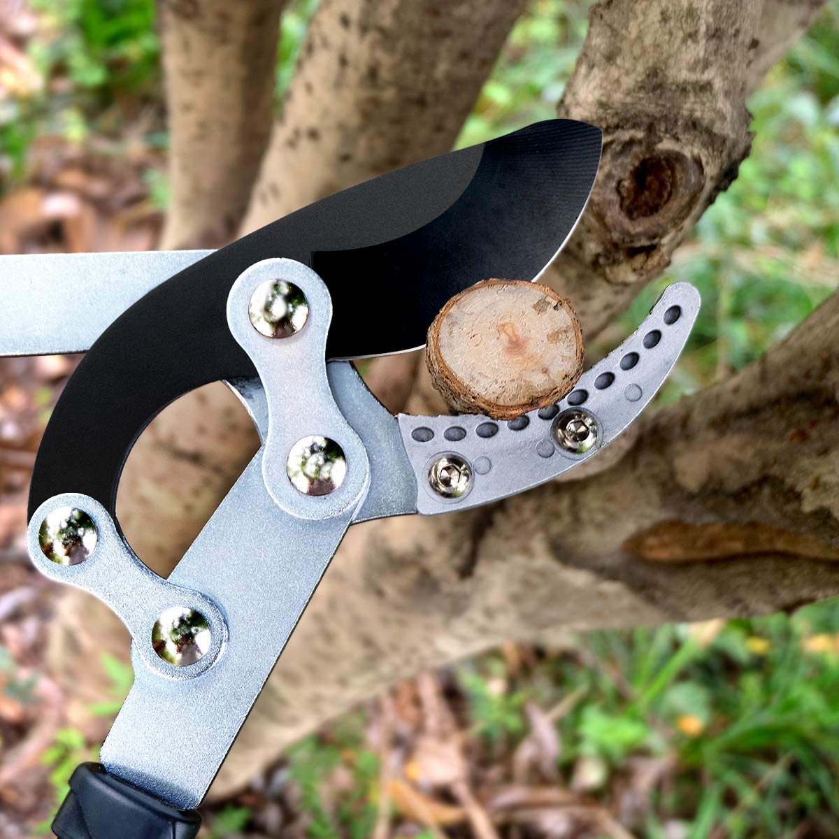 anvil lopper for thick branches