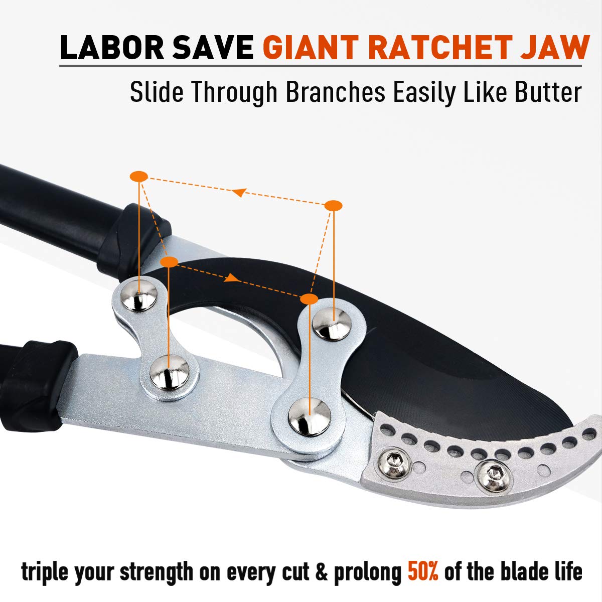 lopper pruner details