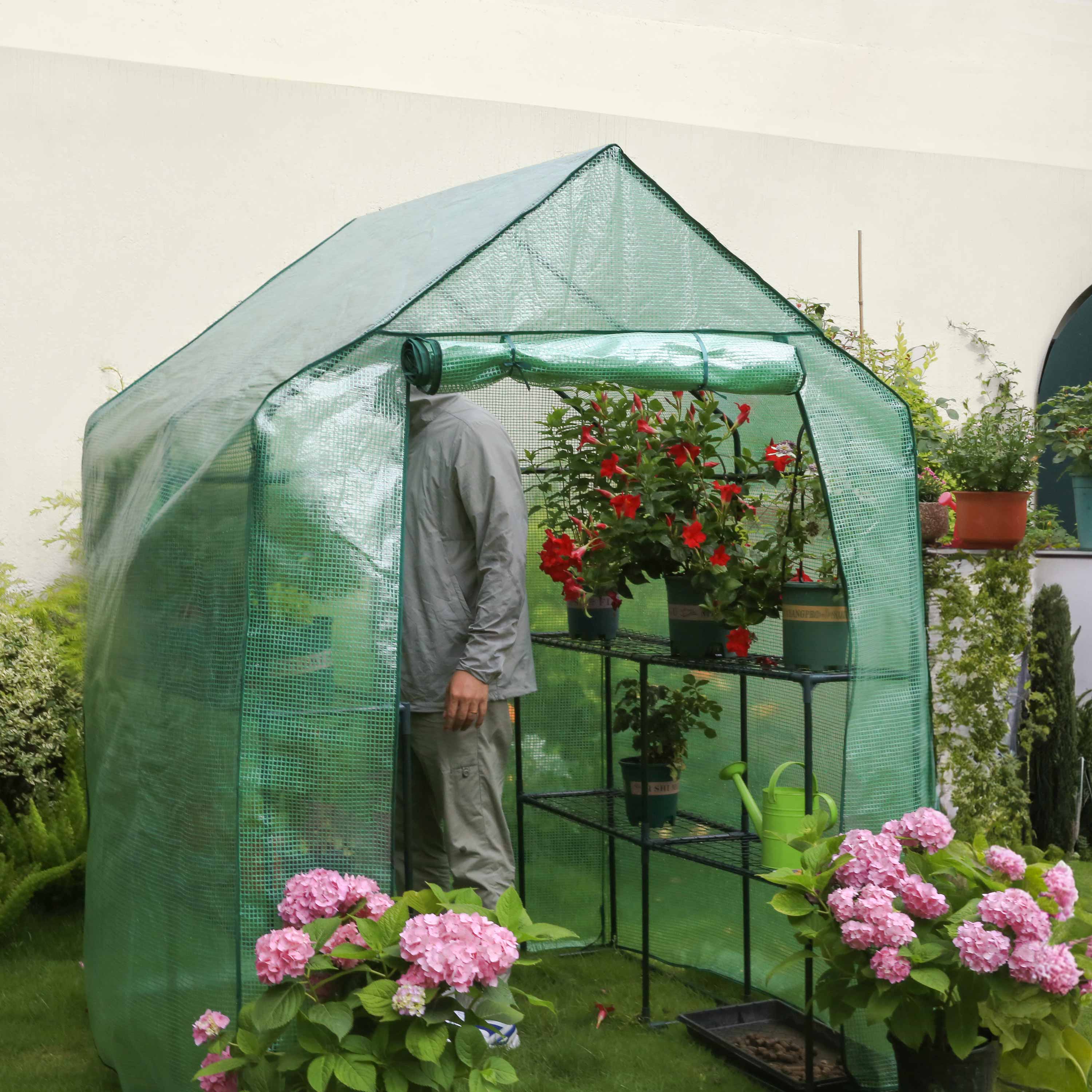 greenhouse tent for sale