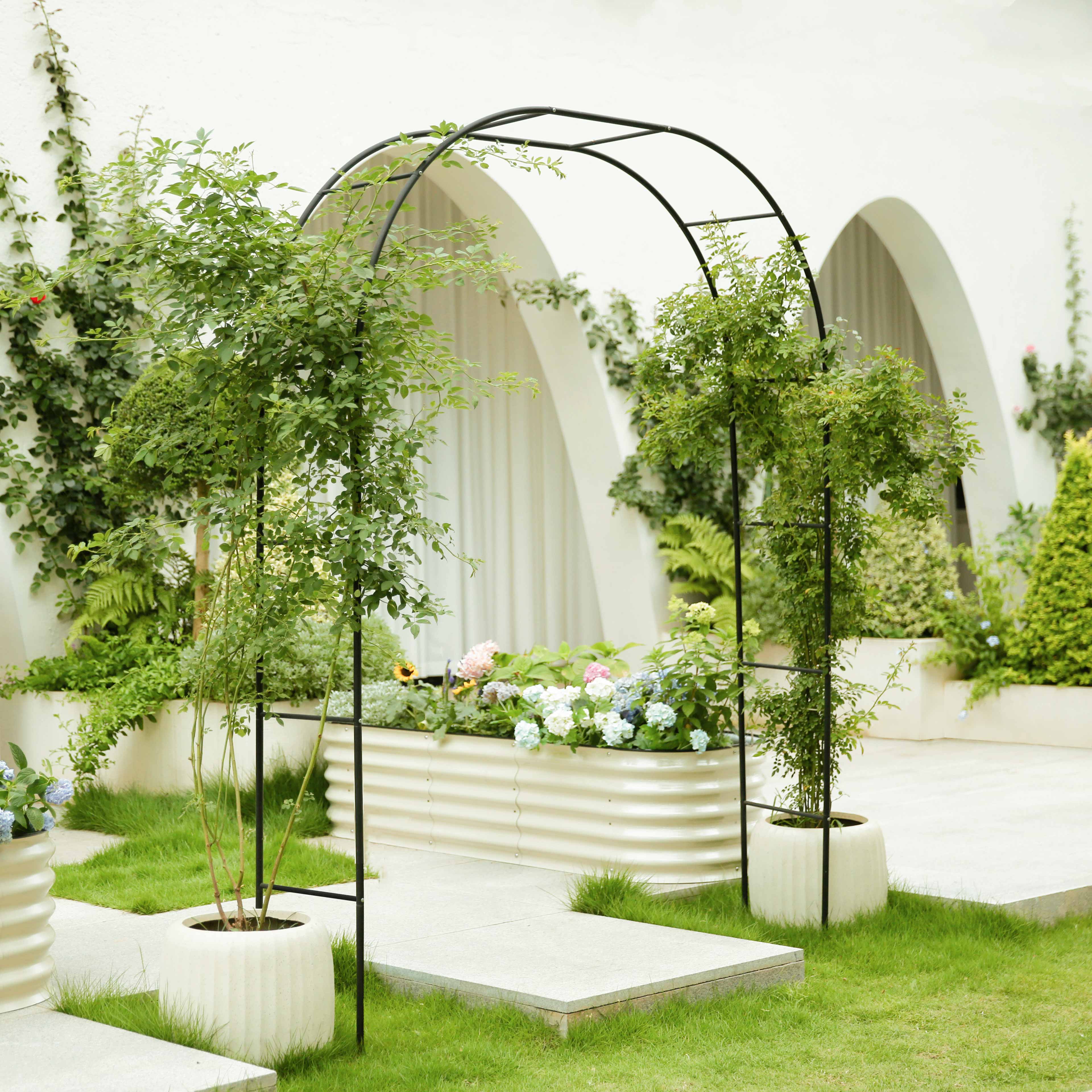 metal arch for climbing plants
