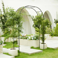 metal garden arch for climbing plants