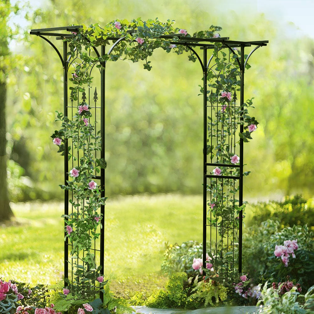 metal trellis for climbing plants