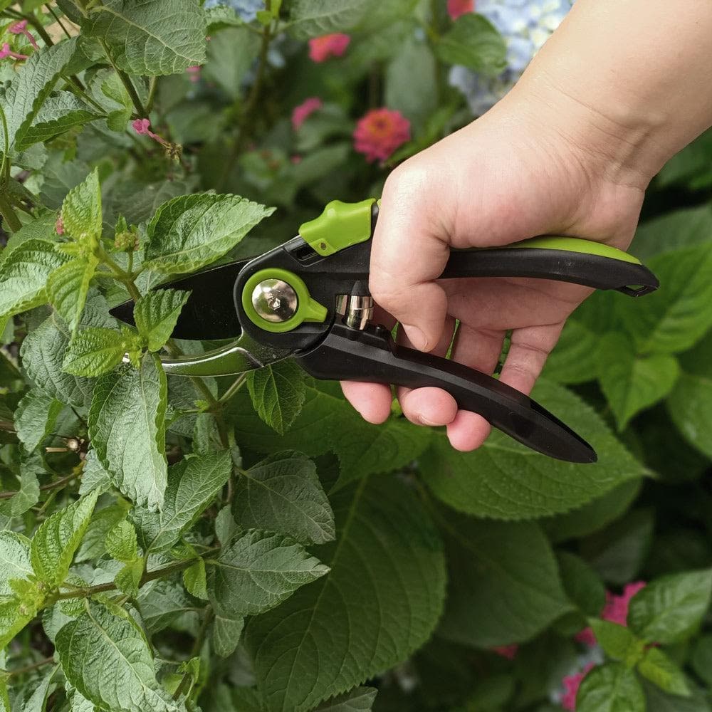 best garden tool set with garden shears