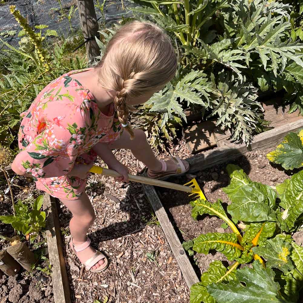 Kids yellow long handle rock rake