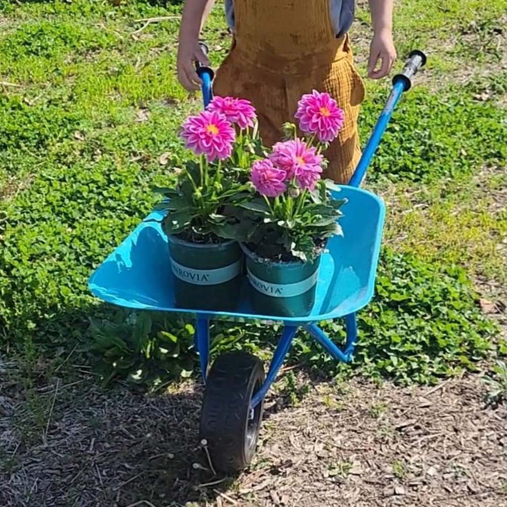 Blue Dinosaur Kids Wheelbarrow close up