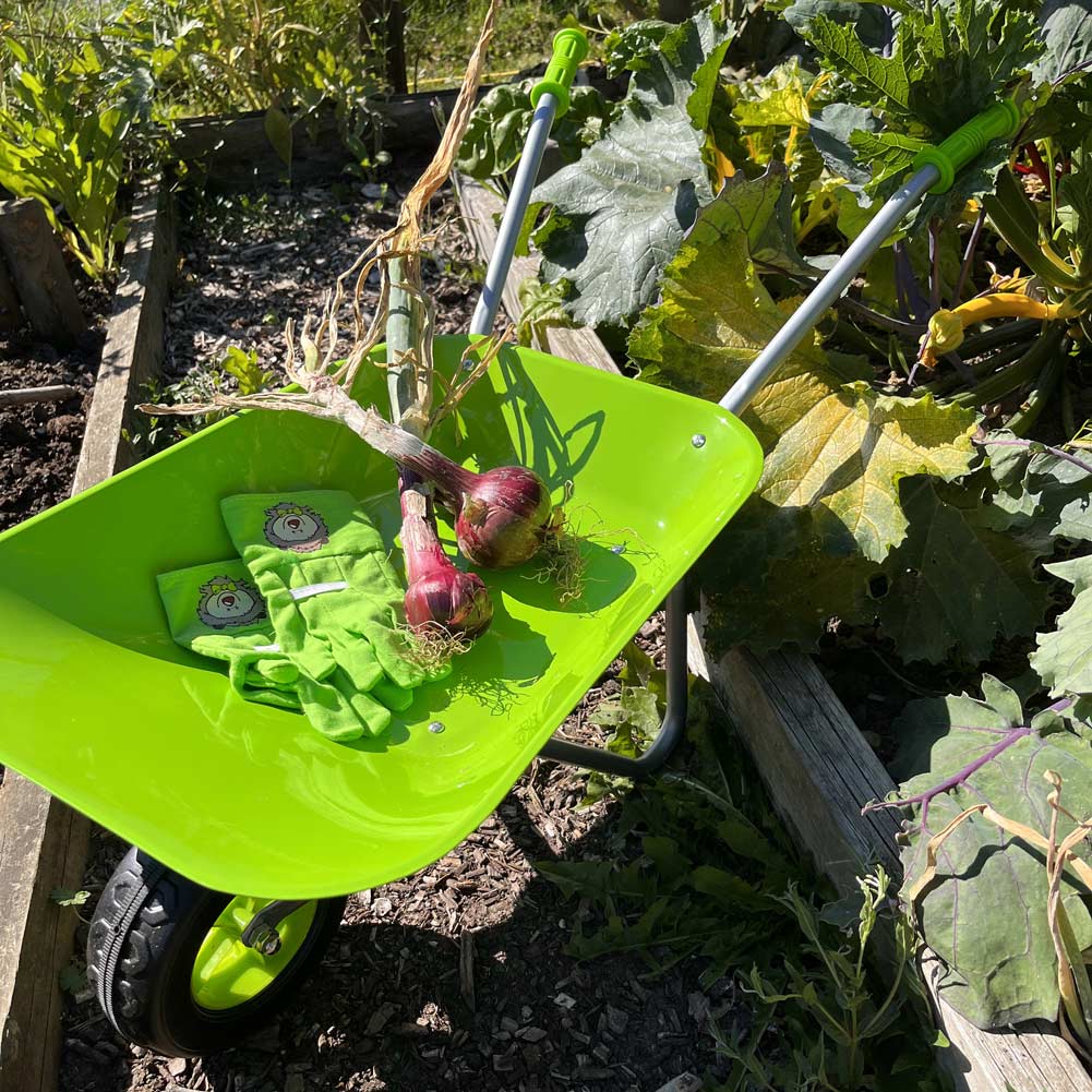 Green Hedgehog Kids Wheelbarrow Set detail