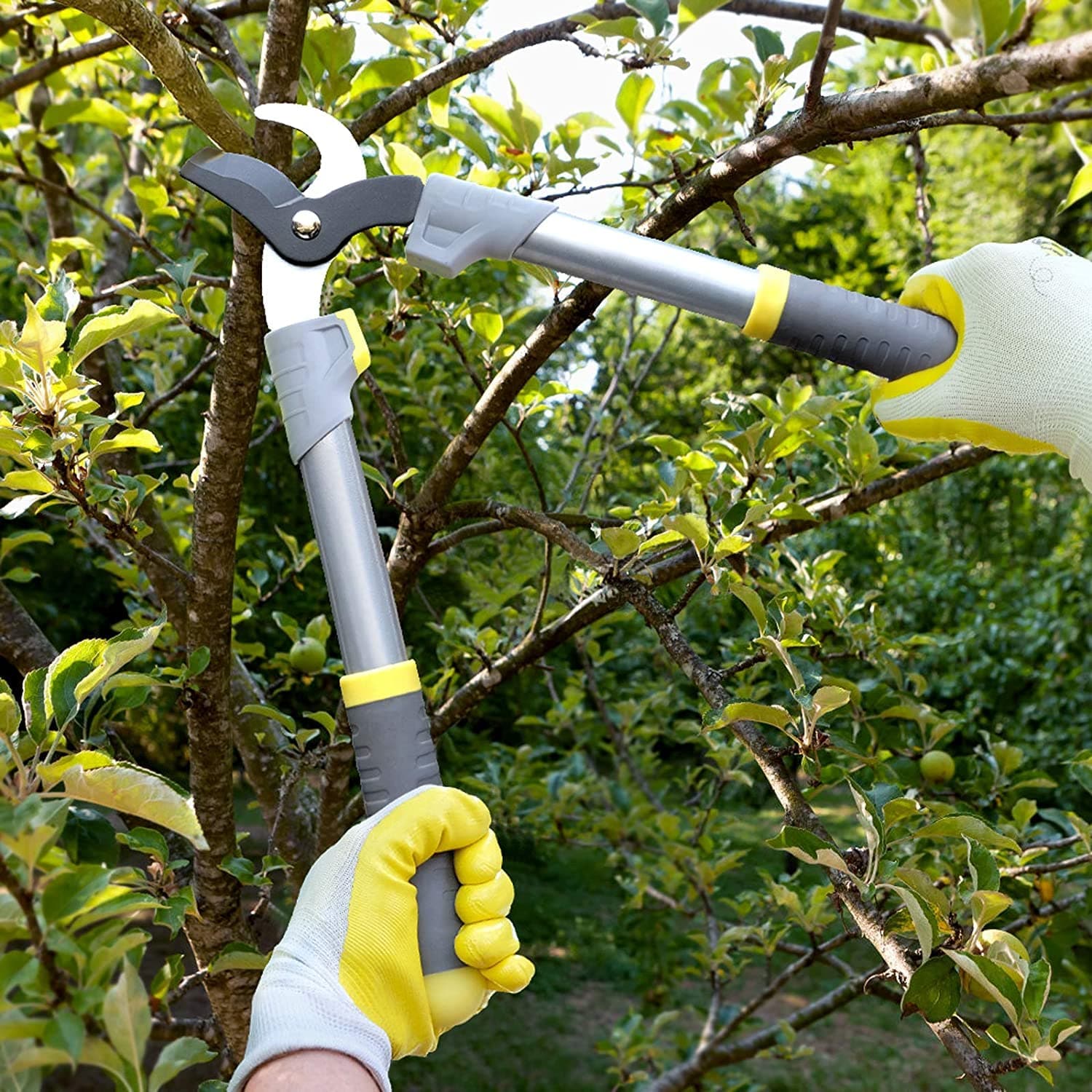 lopper tool for thick branches