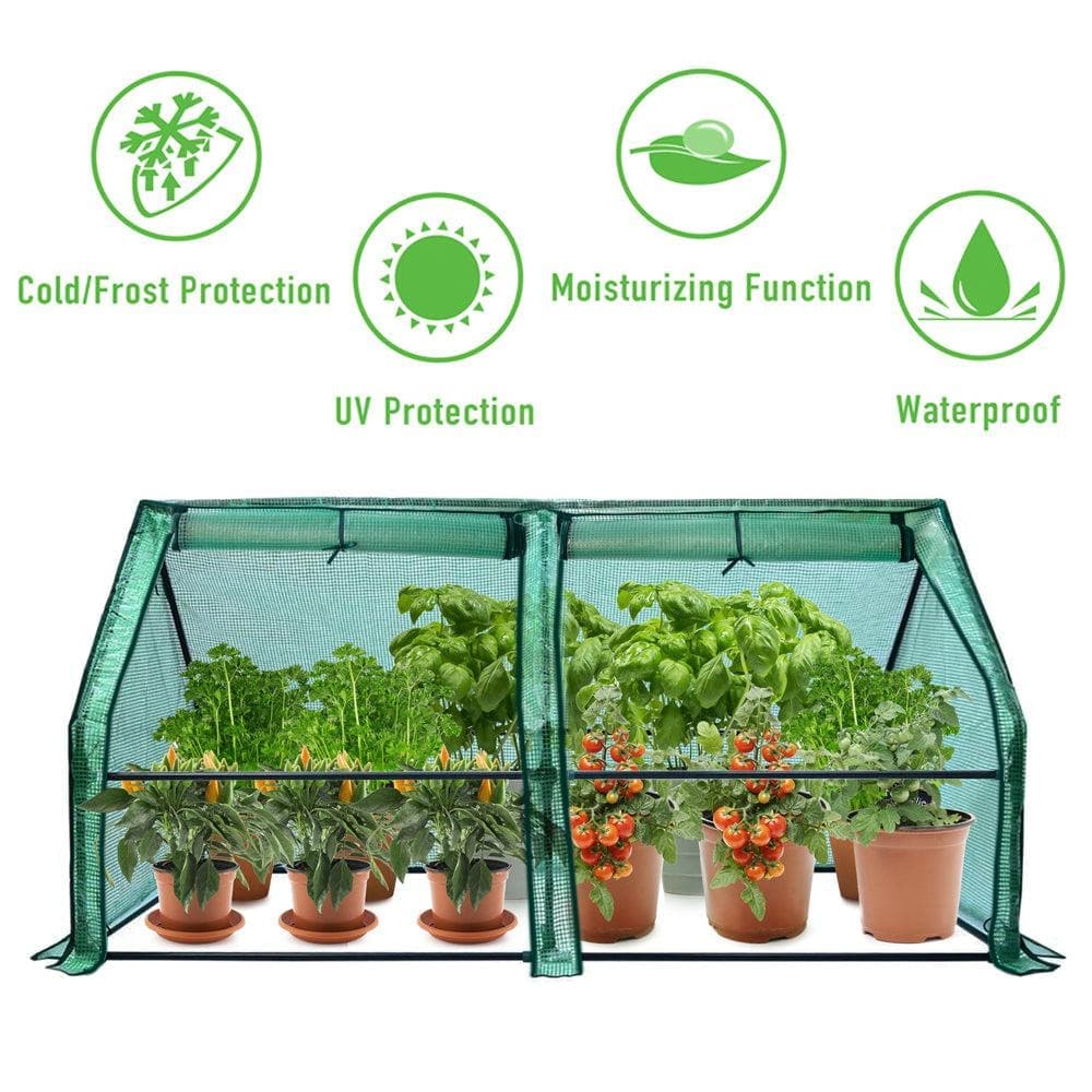 small greenhouse for winter supplier