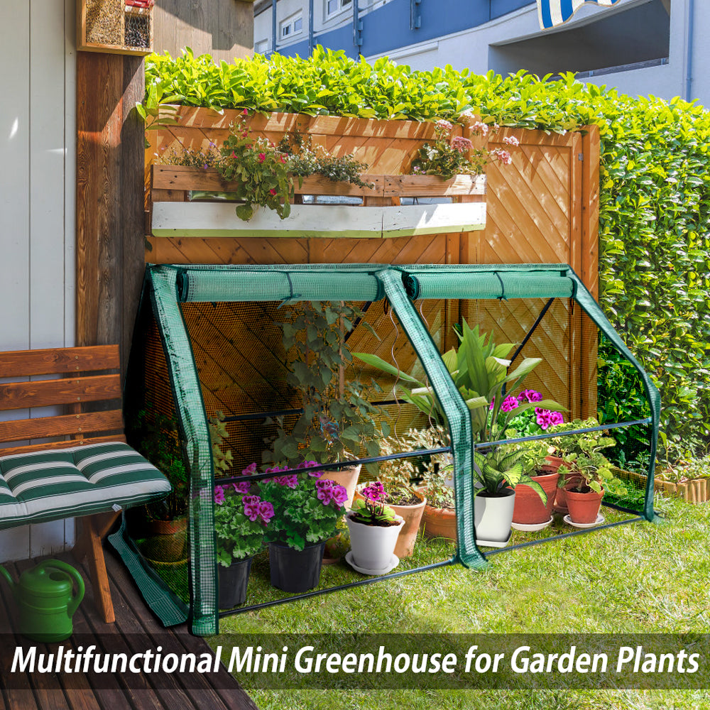 miniature greenhouse for sale