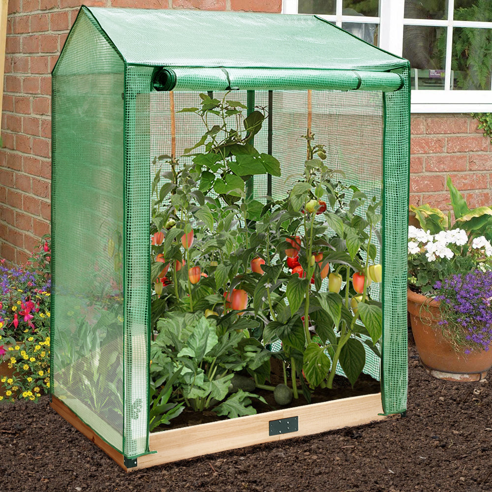 Mini Greenhouses|Tomato Plant Warm Mobile Greenhouse